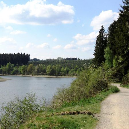 Boutique Chalet In B Llingen Near Lake Wirtzfeld Bagian luar foto